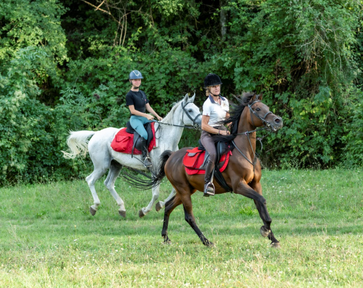 Due persone cavalcano in un ambiente naturale circondato da verdi prati e alberi.