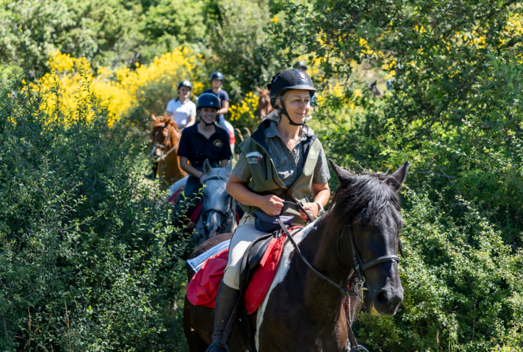 Attività di equitazione in Umbria, immersi nella natura e nel relax. Ambiente adatto per momenti di benessere.