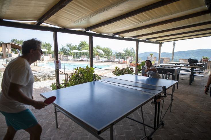 Due ragazzi si divertono a giocare a ping pong all'aperto, in una zona con una piscina e un'area verde.