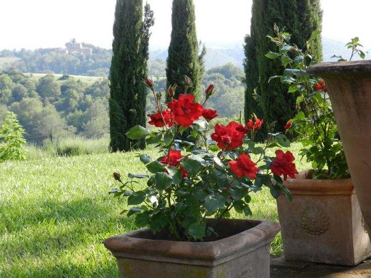 Un giardino ben curato con rose rosse in primo piano e uno scambio visivo sulla campagna circostante.