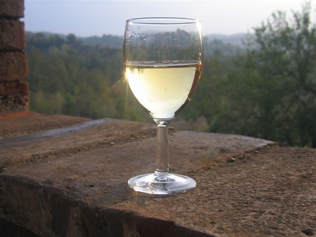 Un calice di vino bianco poggiato su un muro di pietra, immerso in un ambiente naturale.