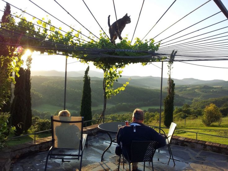 Una coppia si rilassa durante il tramonto, circondata da un ambiente tranquillo, mentre un gatto passeggia sui filari superiori.