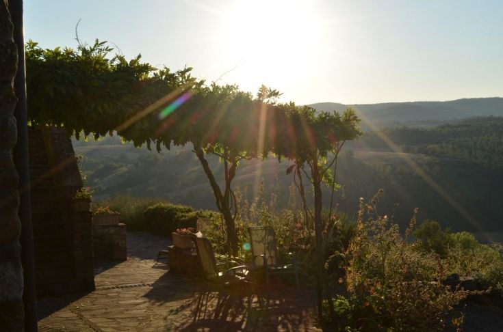 Un panorama di vigne al tramonto, con i raggi del sole che filtrano attraverso le foglie.