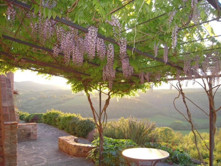 Un pergolato con fiori che si affaccia su un'ampia scena di un lago e colline.