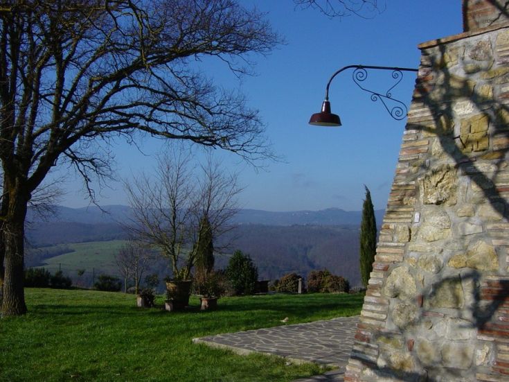 Un paesaggio sereno con un albero e un edificio in pietra, circondato da vegetazione.