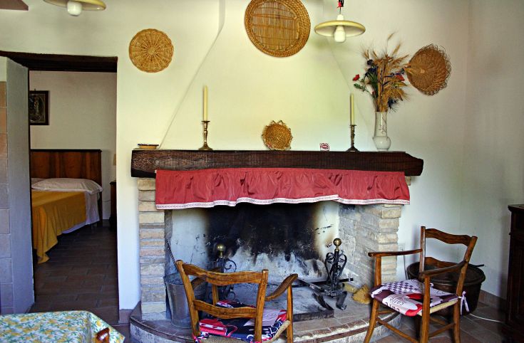 Simple living room with a fireplace, decorated with traditional elements and warm colors.