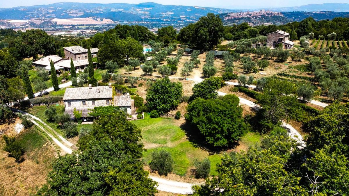 Agriturismo situato nella campagna umbra, circondato da giardini, piscina e dedito alla produzione biologica di vino e olio.