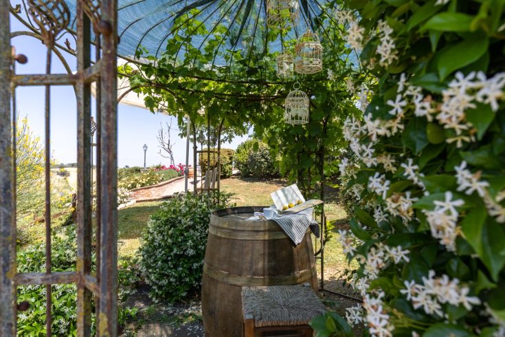 Comfortable outdoor space with an umbrella, plants, and a barrel, ideal for relaxing in the peaceful countryside.