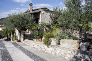 Bâtiment entouré d'oliviers, niché dans les collines verdoyantes de l'Ombrie.