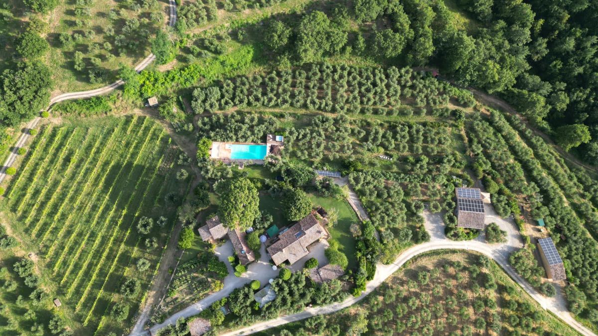 Un panorama d'agritourisme entouré d'oliveraies et de vignobles, avec une piscine et des bâtiments en pierre.