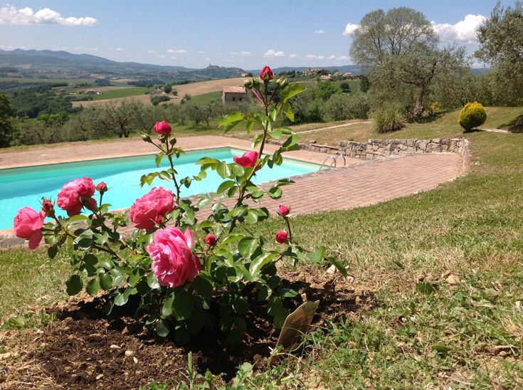 Un giardino ordinato con rose rosa e una piscina, situato nella tranquilla campagna umbra.