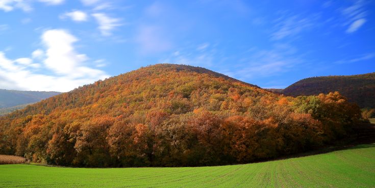 Herbstszene mit bewaldeten Hügeln und einem ruhigen Himmel.