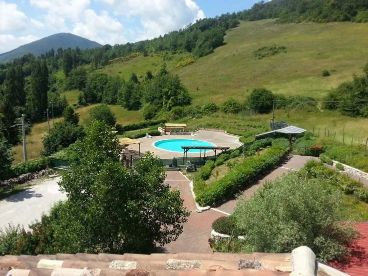 Scena di una piscina circondata da alberi e colline, che invita al relax.