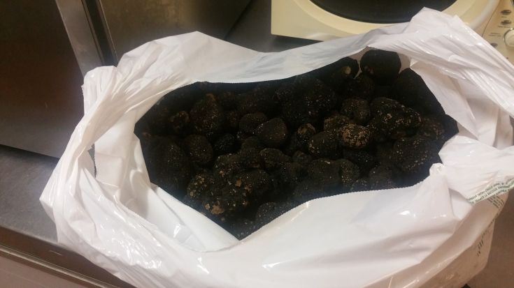 Una busta bianca con diversi tartufi neri freschi, pronti per essere assaporati.