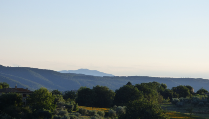 Scena rurale con dolci colline e alberi, perfetta per una pausa immersi nella natura.