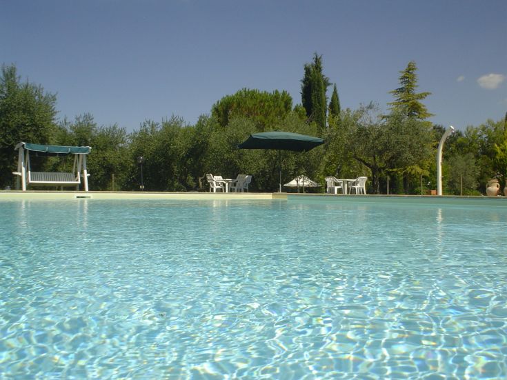 Une piscine entourée d'arbres et de végétation, idéale pour des journées tranquilles et agréables.