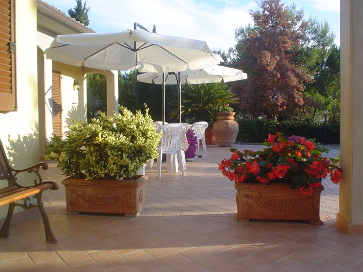 Espace extérieur d'une ferme auberge avec des plantes et des parasols, idéal pour des moments de détente.