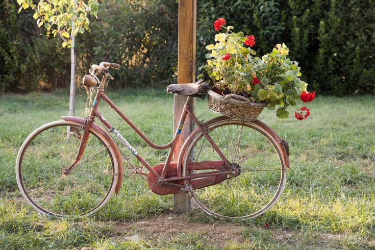 Una bicicletta d'epoca ornata con fiori rossi, collocata in un giardino caratterizzato da vegetazione verde.