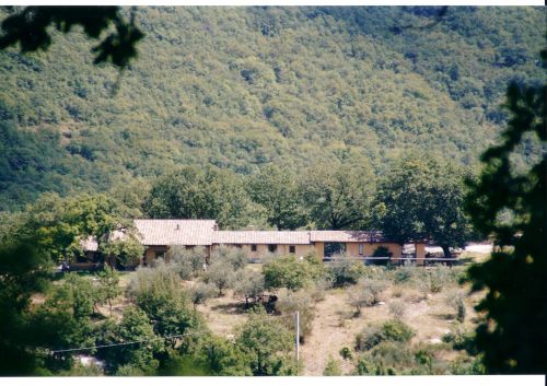 A peaceful place surrounded by trees, perfect for moments of rest and relaxation.