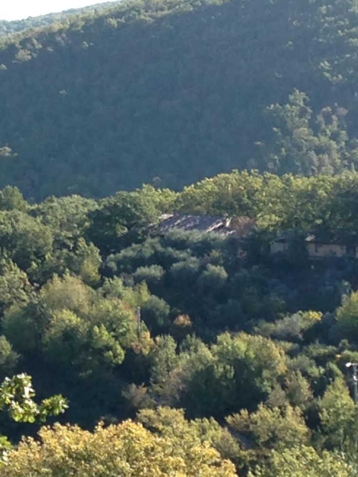 Ein Gebäude, eingebettet in die grüne Umgebung, umgeben von Bäumen, perfekt für eine Auszeit vom Alltag.