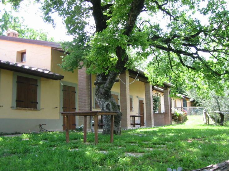 Ein Haus, umgeben von Grün, perfekt für Paare, die Ruhe suchen.