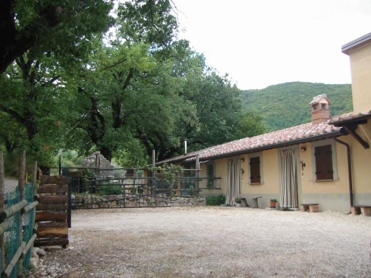 Ein Gebäude umgeben von Grün, ideal für Momente der Ruhe und Entspannung.