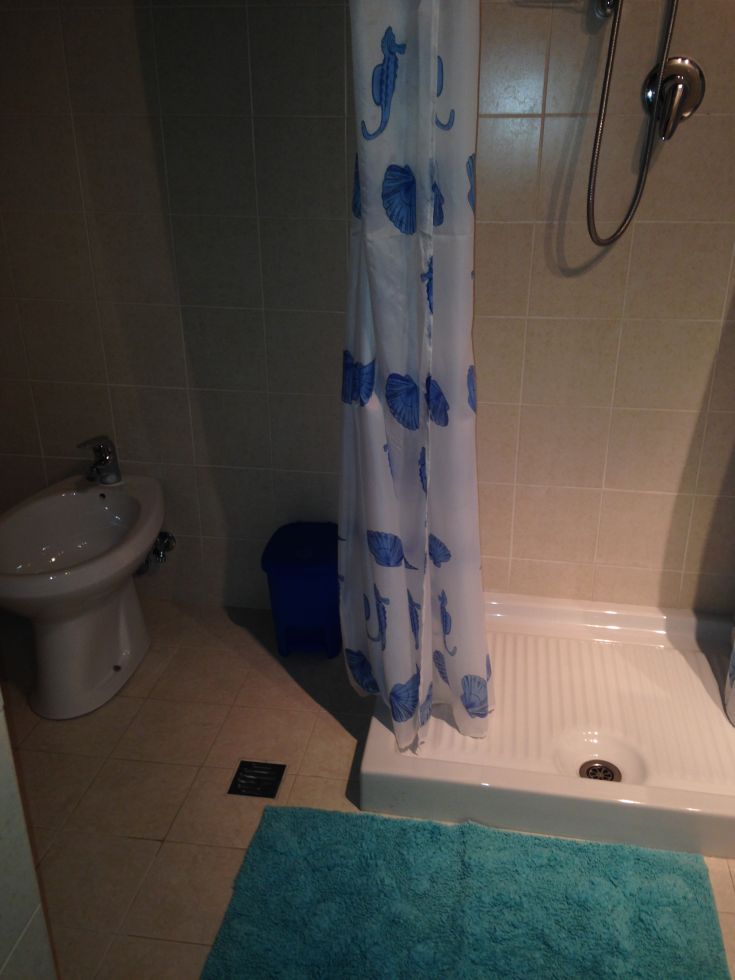 Ein funktionales und komfortables Badezimmer mit Dusche, Bidet und einem blauen Teppich.