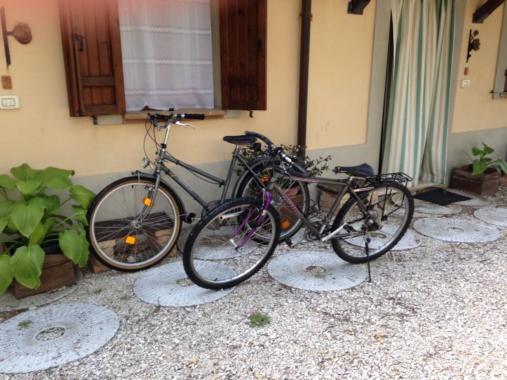 Zwei Fahrräder lehnen an einem Gebäude, umgeben von einem Garten mit Pflanzen und Steinwegen.