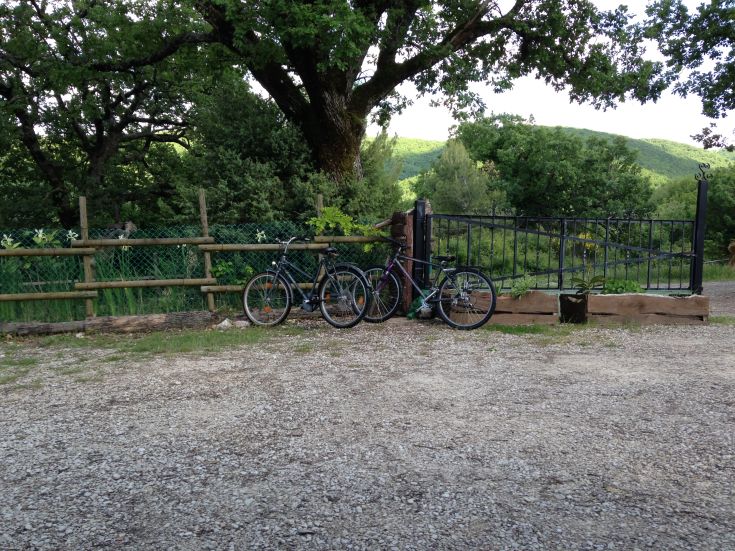 Ein ruhiger Bereich mit Fahrrädern, die an einem Tor lehnen, umgeben von üppiger Natur.