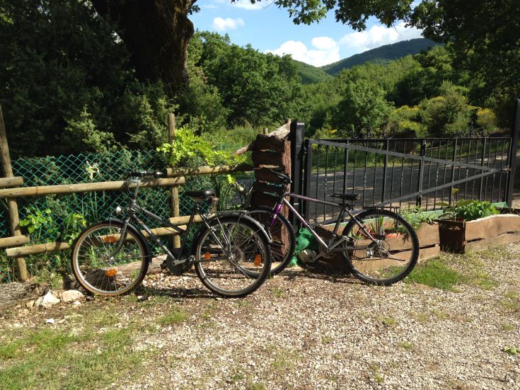 Zwei Fahrräder, die neben einem Zaun in einem ruhigen, grünen Bereich stehen, umgeben von Natur.