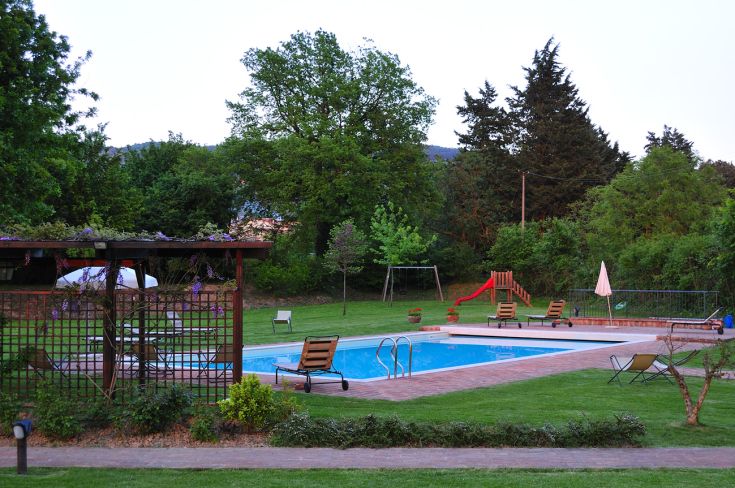 A pool surrounded by greenery, ideal for relaxing moments in nature.