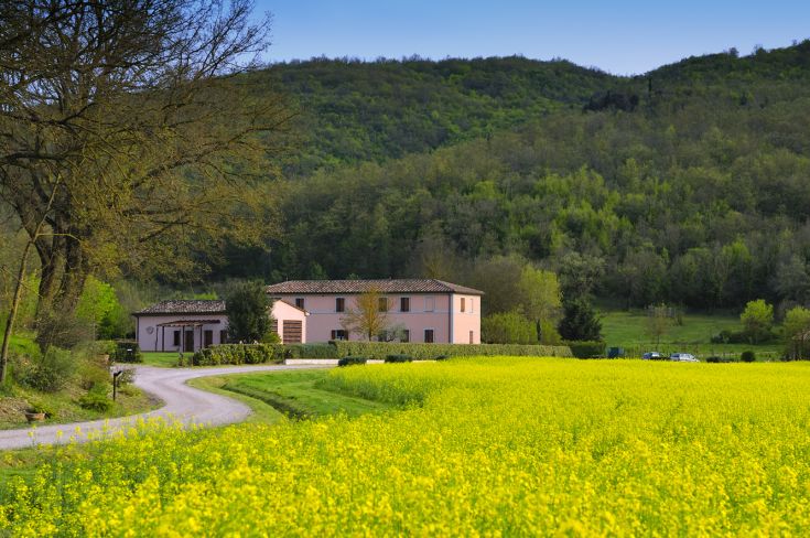 A countryside agriturismo surrounded by lush green spaces and flowers, perfect for those seeking tranquility and nature.