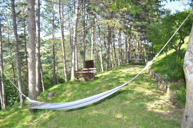 Un'area tranquilla circondata da alberi, con un'amaca per godere momenti di relax nella natura.