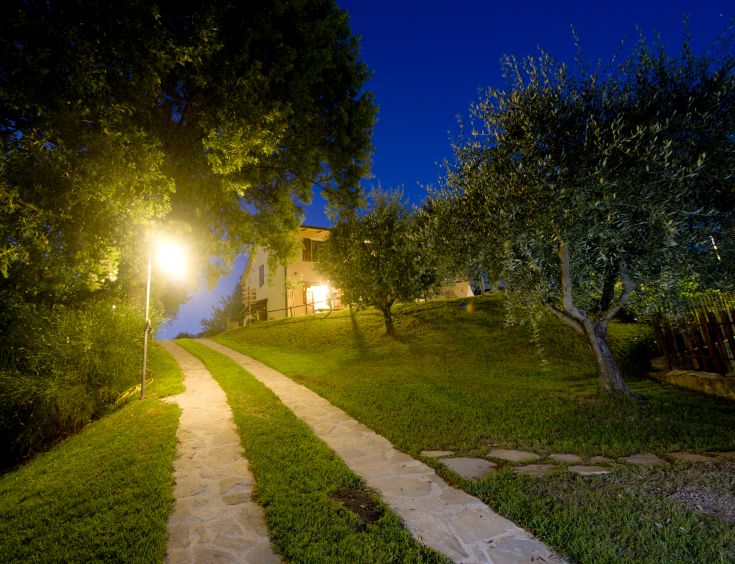 Un viale illuminato conduce a un edificio circondato da ulivi e vegetazione, situato nella tranquilla campagna umbra.