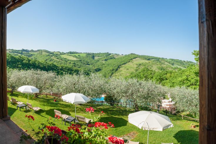 Area tranquilla immersa tra uliveti, con piscina e spazi per godersi un soggiorno sereno.