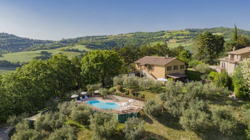 Une structure entourée par la nature, avec une piscine et des oliveraies, idéale pour la détente et les activités en plein air.