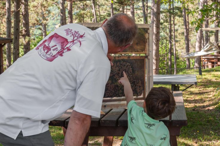 Un adulto e un bambino osservano un alveare, vivendo un momento di apprendimento nella natura.