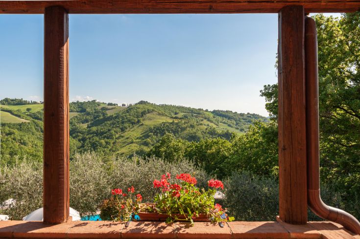 Scena sulle colline verdi, arricchita da fiori dai colori vivaci.