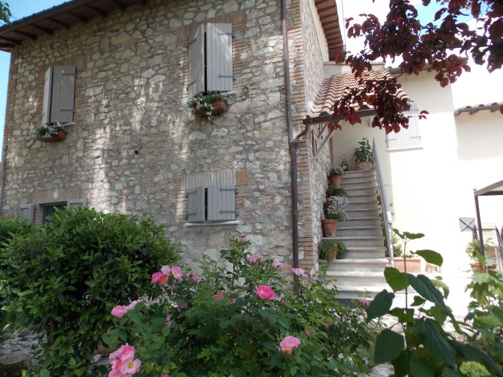 Un edificio di campagna immerso nella natura, circondato da fiori e vegetazione all'ingresso.