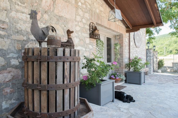 Un'accogliente area di un casale rustico, con alcuni fiori in vaso e un cane sdraiato che si riposa.