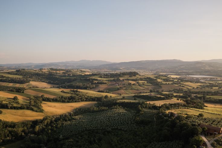 Green scene of Umbria with gentle hills and golden fields under the sunset.