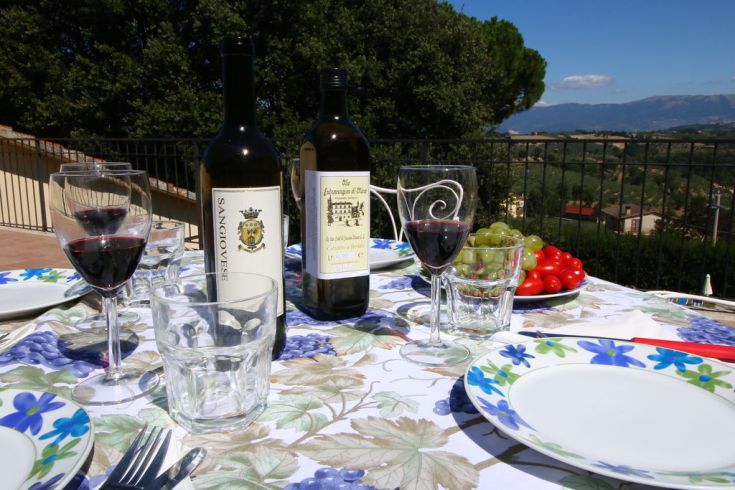 An outdoor lunch featuring red wines and a stunning view of the hills.