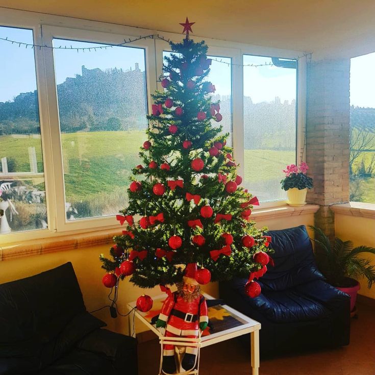 Un albero di Natale addobbato con palline rosse e decorazioni, posizionato accanto a una finestra che lascia filtrare la luce del sole.
