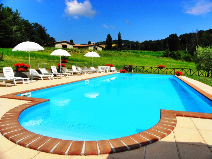 Swimming pool in a natural setting, surrounded by plants, perfect for peaceful outdoor moments.