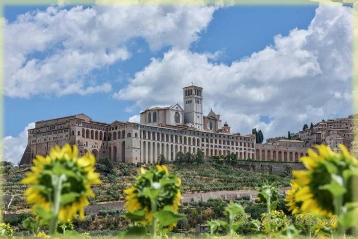 Panorama de la basilique Saint-François entourée de tournesols et de végétation luxuriante.