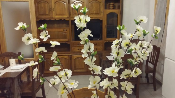 Des branches décorées avec des fleurs blanches dans un environnement simple et confortable.