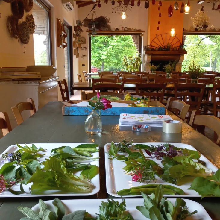 Table dressée dans un environnement simple, avec des plantes, des tables et des ingrédients frais, entourée par la nature.
