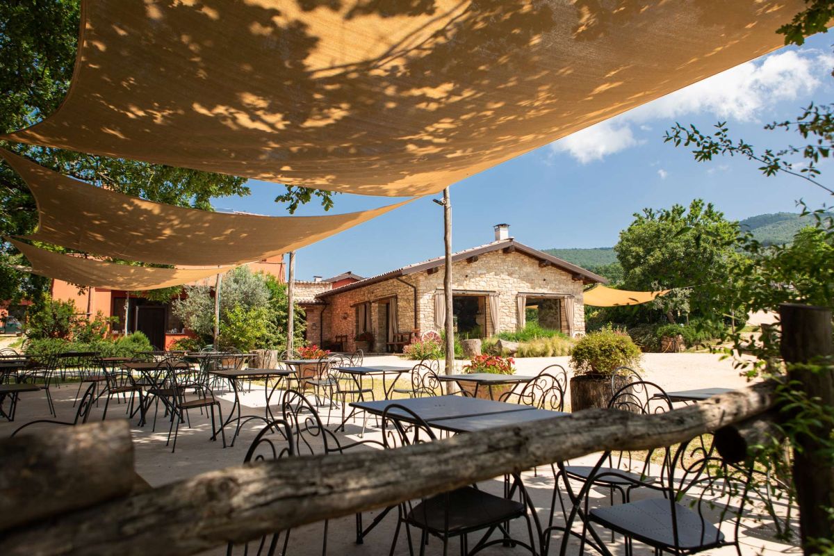 Un'area serena circondata da uliveti e vigneti, perfetta per godere della natura in Umbria.