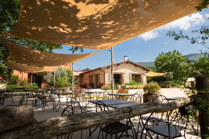 Un endroit serein entouré d'oliveraies et de vignes, idéal pour profiter de la nature en Ombrie.