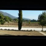 Eine Szene, die eine natürliche Landschaft mit Bäumen und Bergen zeigt.